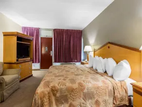 Lotus by Hotel Inn - Hot Springs - Image 5