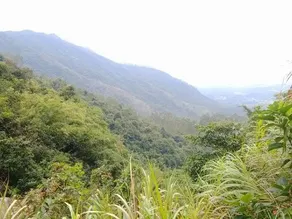 Suzhou Yinghu Suoyuan Homestay (Taihu Lake Eastern Mountain Scenic Area) - Image 3