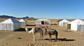 Sahara Luxury Camp - Image 5