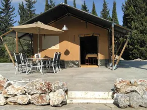 Mariposa Libre - Image 2