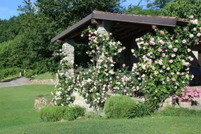 Bed & Breakfast Villa Chiara - Image 5