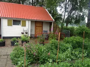 Tussen de Berken - Image 5