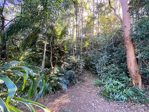 Turmeric Gardens - Image 5