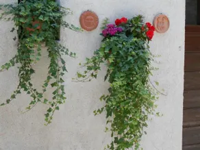 Casa Costanza - Image 5