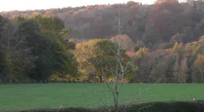 Broadhurst BandB - Image 4