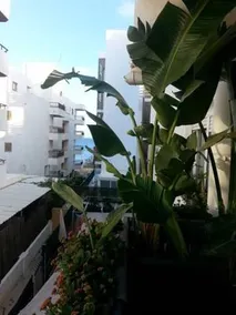 Apartment Avenida Pedro Matutes Noguera - Image 1