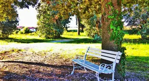 Villa Eucalipti - Image 4