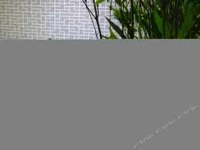 Jinan Nest International Youth Hostel Honglou - Image 5