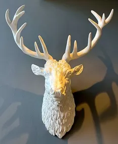 The Season - Image 5