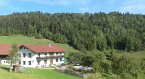 Eggbauer - Image 3
