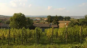 Holiday Home Milovice by Interhome - Image 2