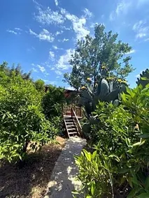 Casa Roja - Image 3