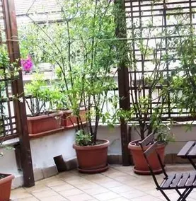 Lovely Gazebo - Image 2