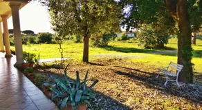 Villa Eucalipti - Image 5