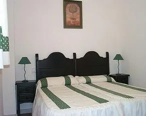 Leo Alcaudon-Alcaravan - Image 4