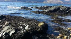 Taigh Na Uillt - Image 4