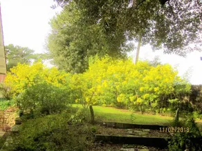 Villa Etoile De Mer - Image 4