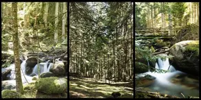 Refugi Del Gerdar - Image 4