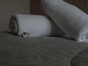Hotel Jope - Image 4
