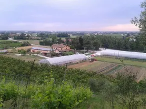 Agriturismo Perugini - Image 5