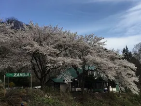 Pension Zakoji - Image 1