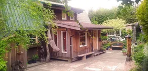 Dolphin House  Bed & Breakfast - Image 2