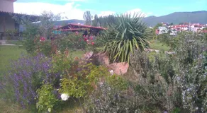 Geomelia Guest House & Studio - Image 3