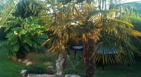 Chez Michel Et Michèle - Image 2