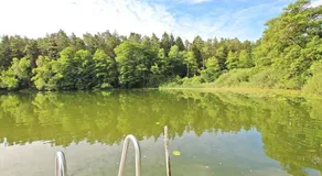 Ferienhaeuser Lychen UCK 550 - Image 5