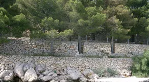 Camping Pinus - Image 5
