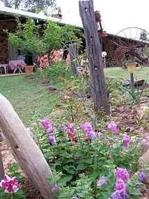 Twilight Grove Farm - Image 3