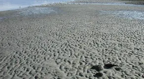 Oceanfront Paradise - Image 5