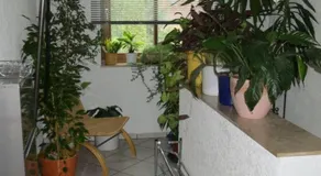 Gaestewohnung-Wieck - Image 2