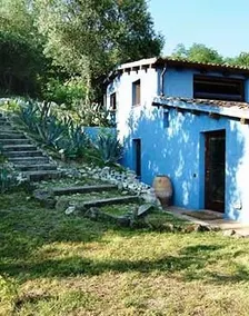 Mesogheo - Image 2