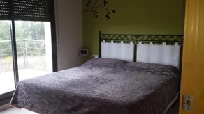 Golive Pepita - Image 4
