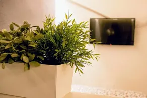 yHome | Royal Suite Vittorio - Image 2