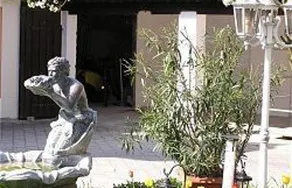 Haas - Image 4