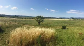 Domaine De Camp Joyeux - Image 2