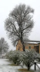 Agriturismo Le Giarine - Image 4