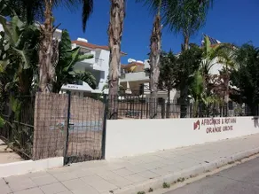 Orange Grove Kiti - Image 2