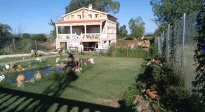 Fuente Rabiit - Image 3