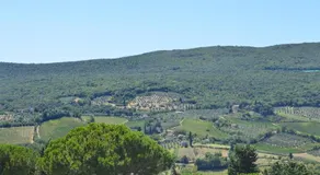 Damario Panorama - Image 5