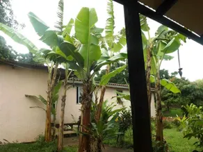 Korina's Guesthouse - Image 3
