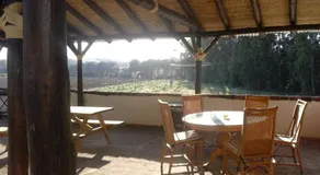 Casa Rural Vega el Dorado - Image 2