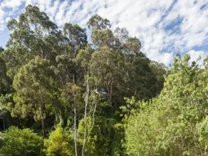 At Riverside - Image 3