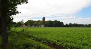 Mooi nieuw houten huisje - Image 4
