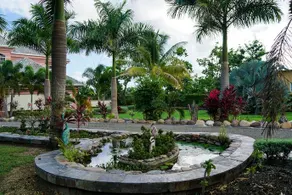 Villa Dora Mae - Image 4