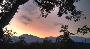 Jungle Roots Glamping - Image 2