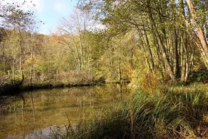 Les Jardins de l'Aulnaie - Image 2