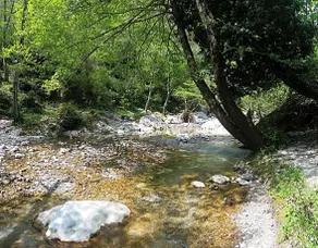 Il Trappeto - Image 5